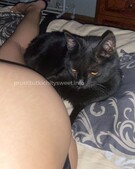 Анкета проститутки Мирослава - метро Тверской, возраст - 23