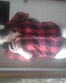 Анкета проститутки Дарина - метро Пресненский, возраст - 24